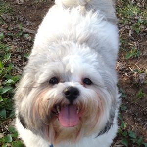 Meet your Posher, Beverly